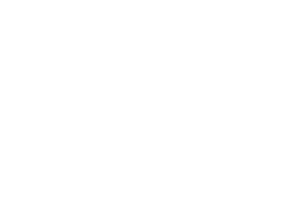 Digital Watchdog Logo
